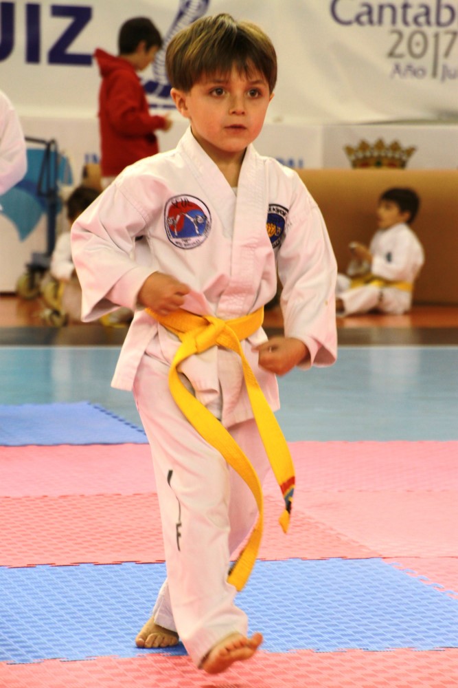 Taekwondo Dic 2016 (130).jpg